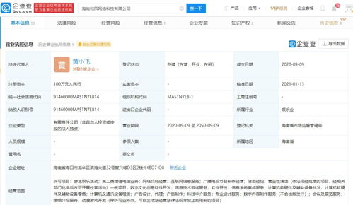 網絡文化經營 數字化時代的機遇與挑戰